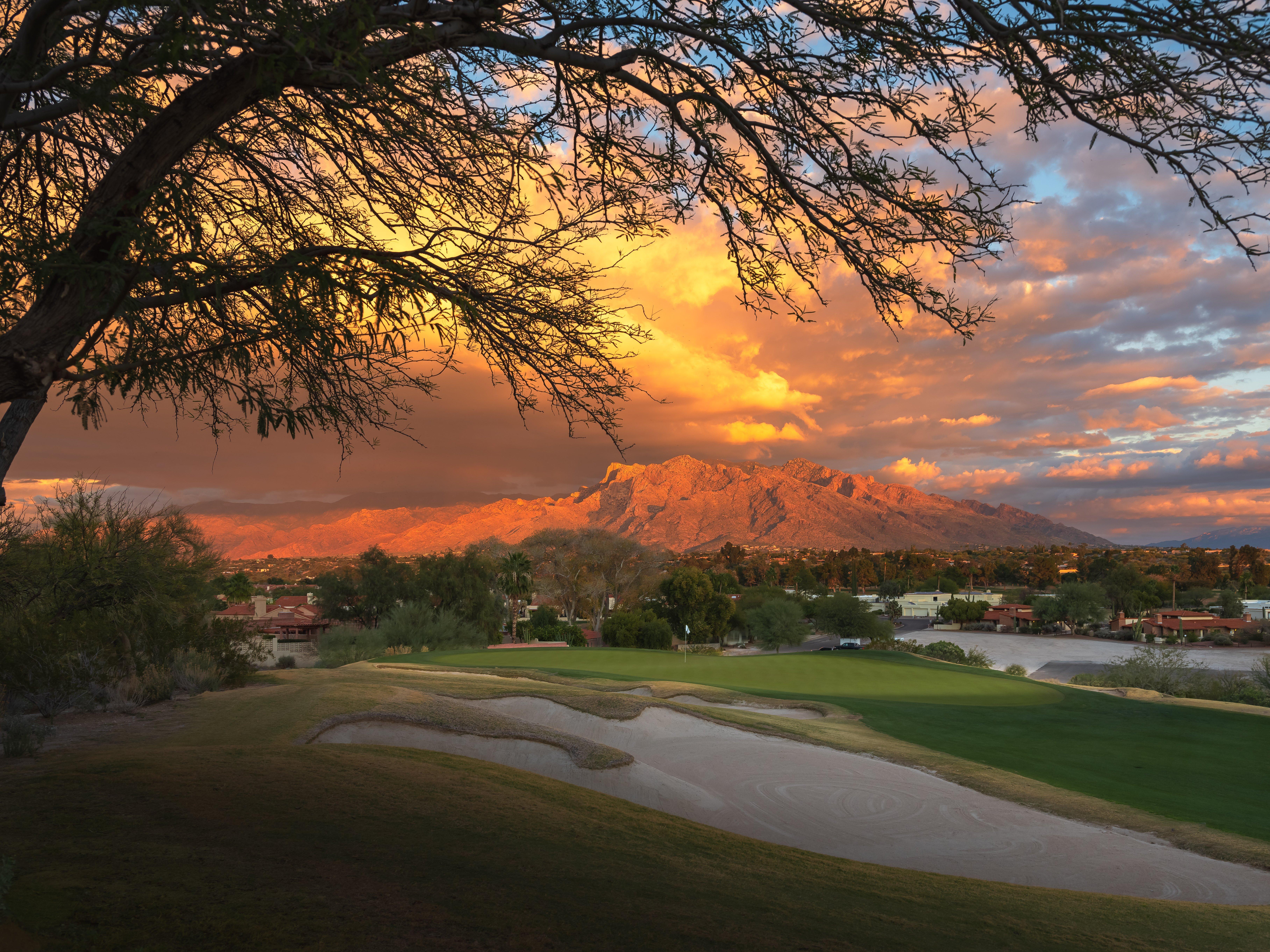 Omni Tucson National Resort & Spa Casas Adobes Dış mekan fotoğraf