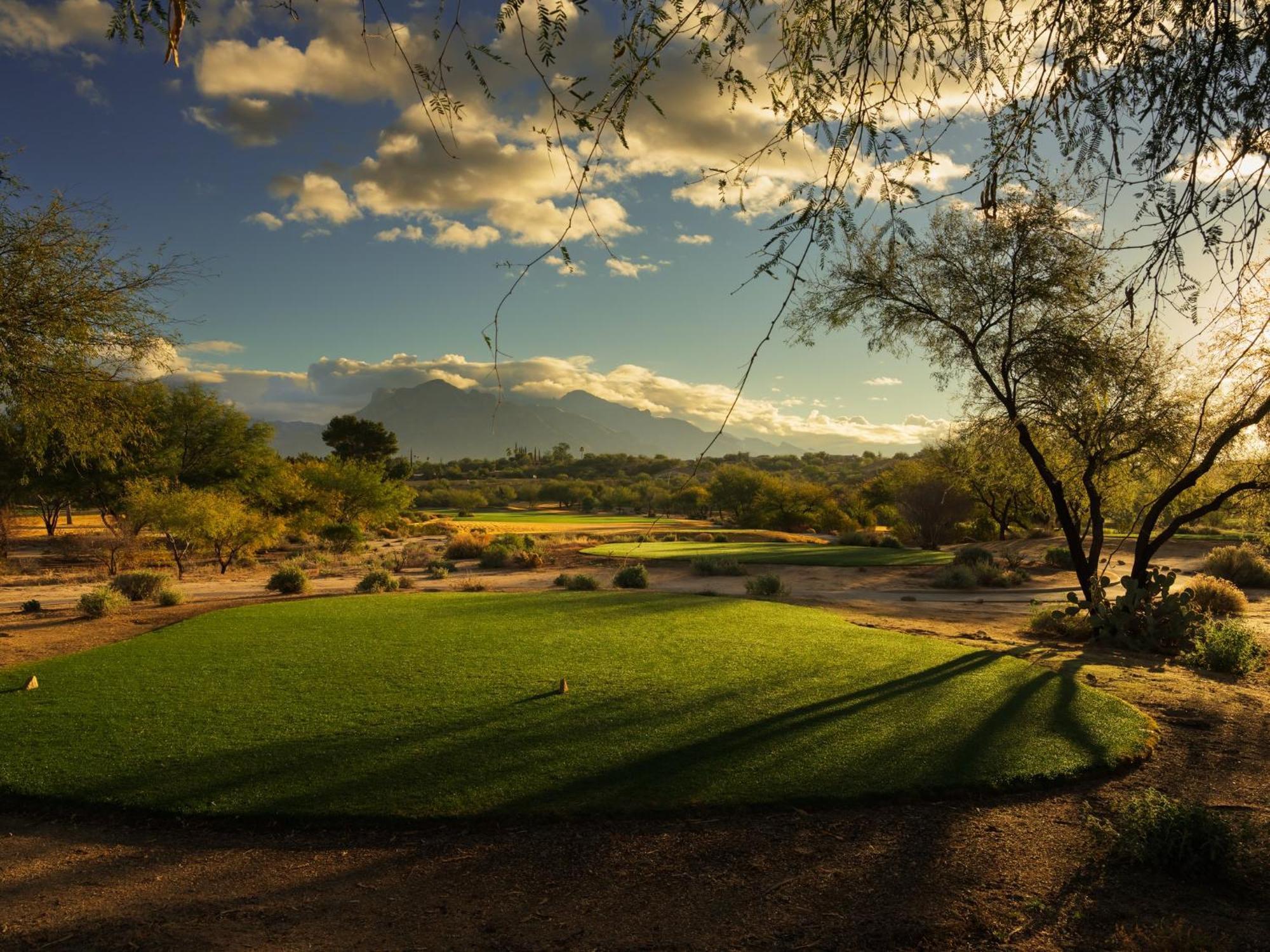 Omni Tucson National Resort & Spa Casas Adobes Dış mekan fotoğraf